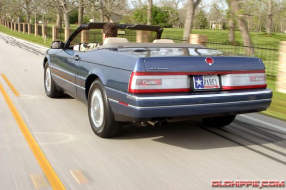 zhmmallante13