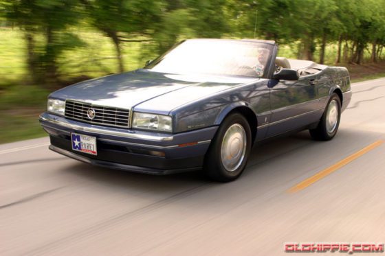 zhmmallante34