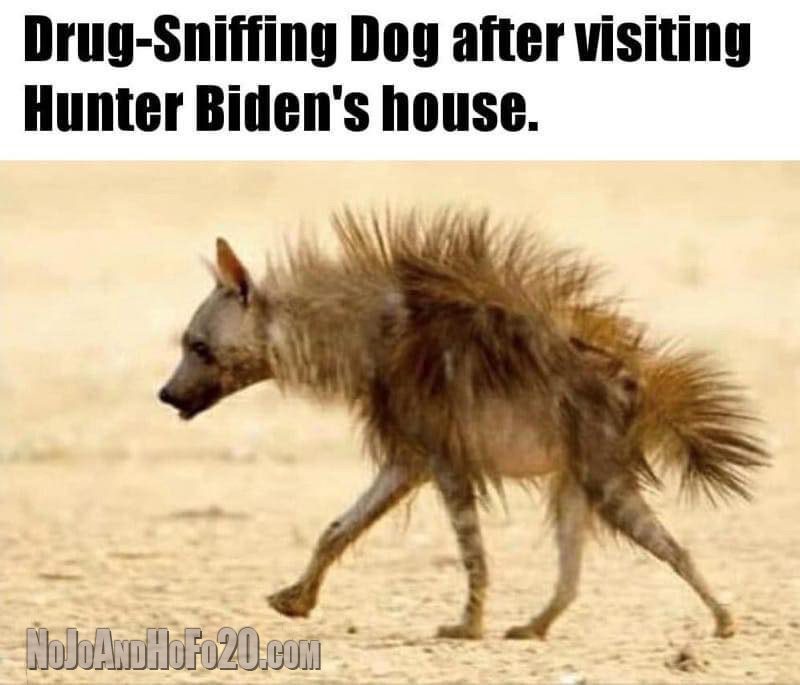 Drug Sniffing Dog - DaveSchultz.com