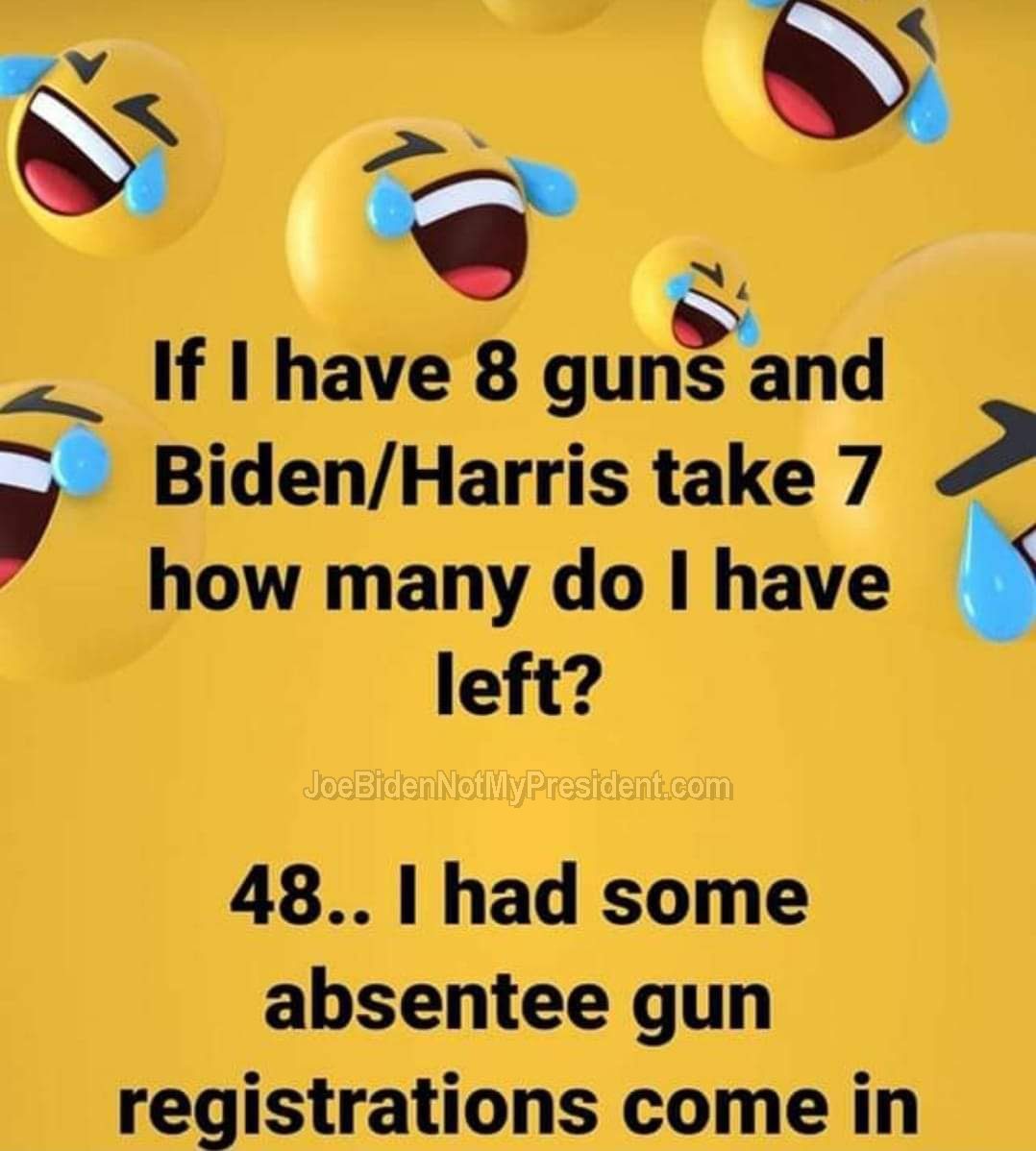 If I have 8 Guns and Biden/Harris Take 7
