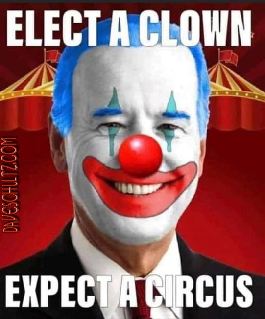 Elect a Clown
