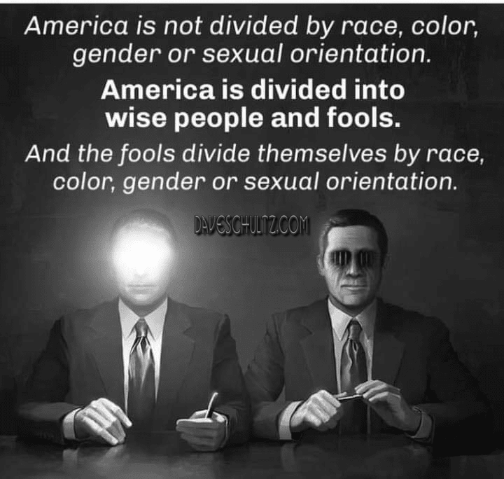 America Is Divided into Wise People & Fools
