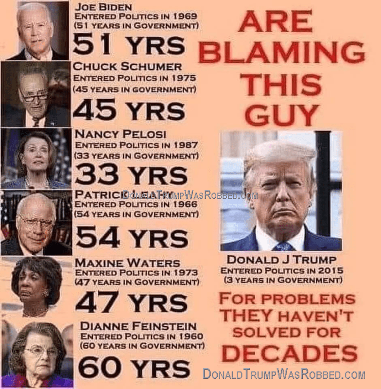 Term Limits Poster