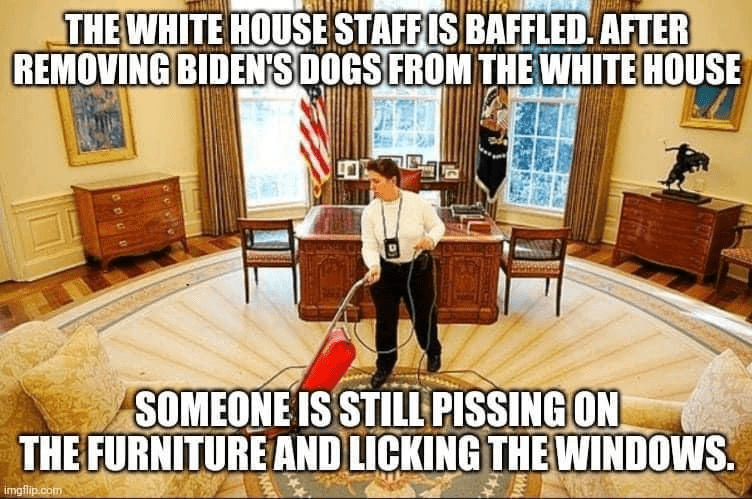Biden’s German Shepherds Kicked Out Of White House
