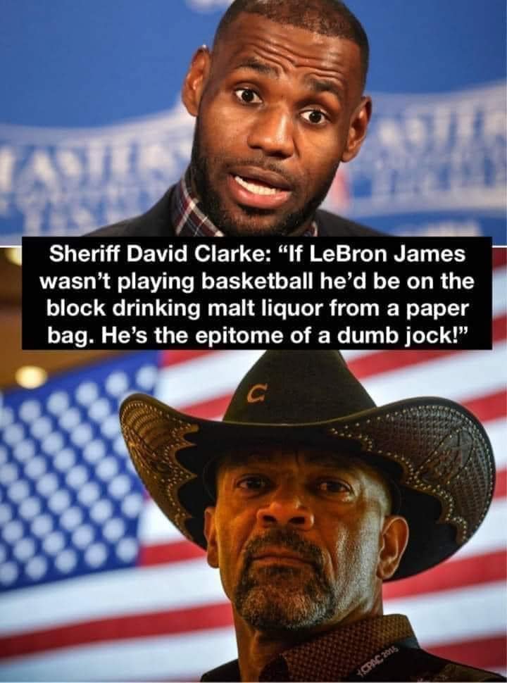 Sheriff David Clarke Nailed It
