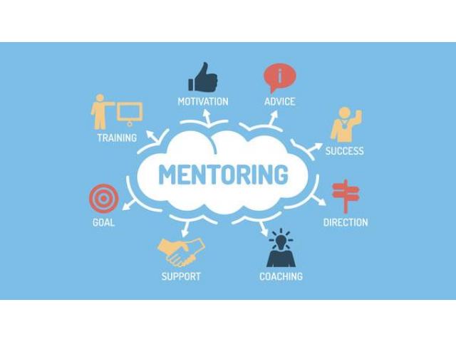 Freestyle Business Mentoring