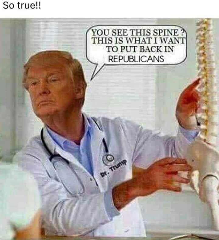 Republicans Need To Grow A Spine