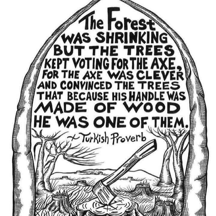 The Forest Was Shrinking, but…