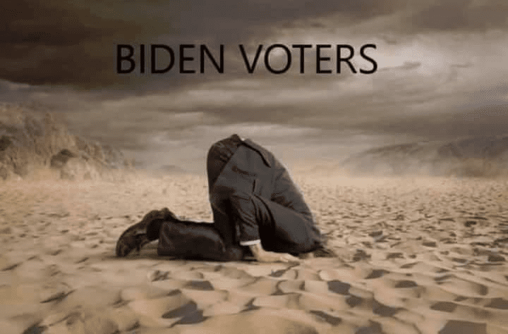 Biden Voters