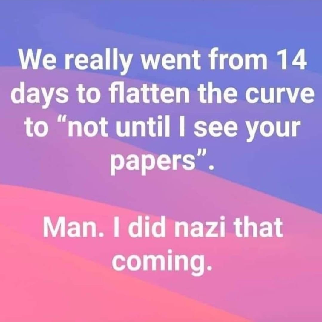 I Did Nazi That Coming