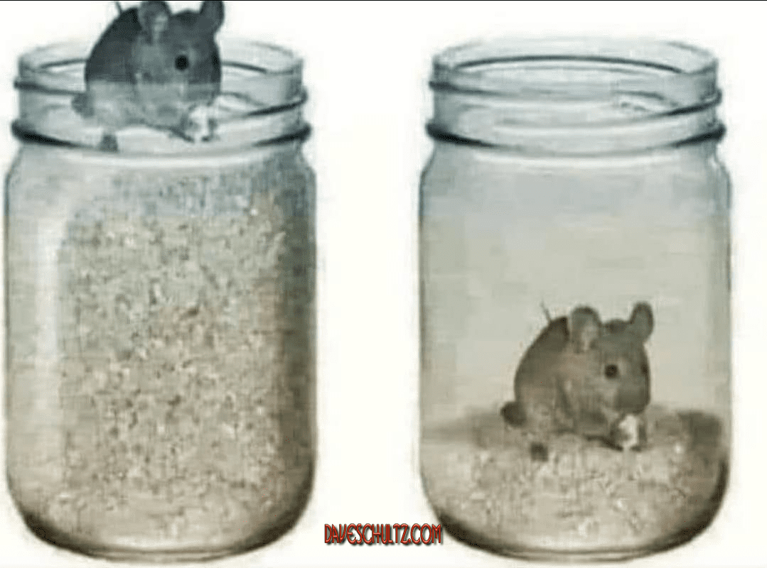 Freeloading Will Ultimately Trap You