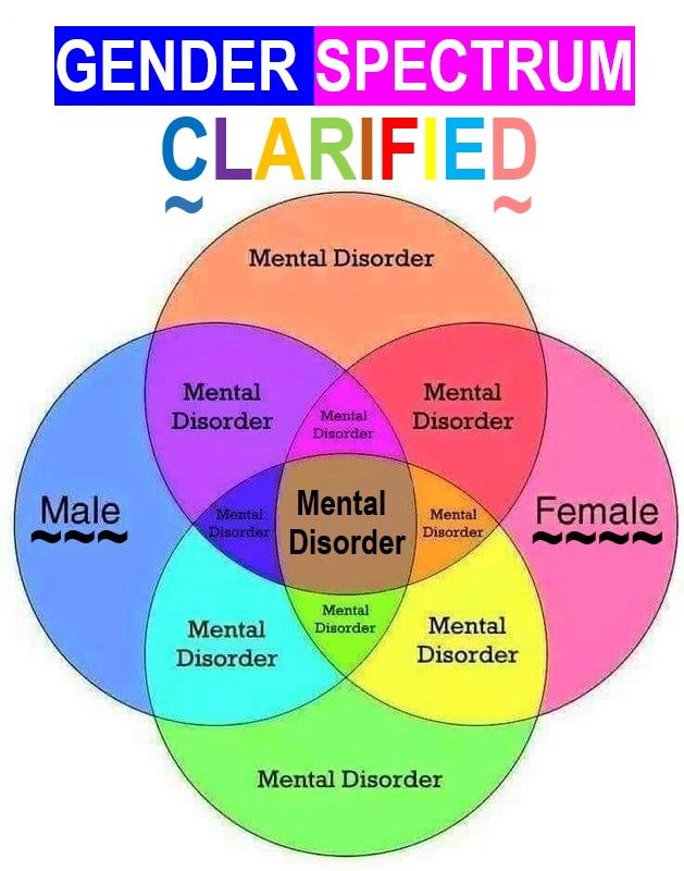 Gender Spectrum Clarified