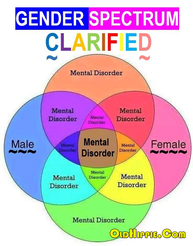 Gender Spectrum Clarified