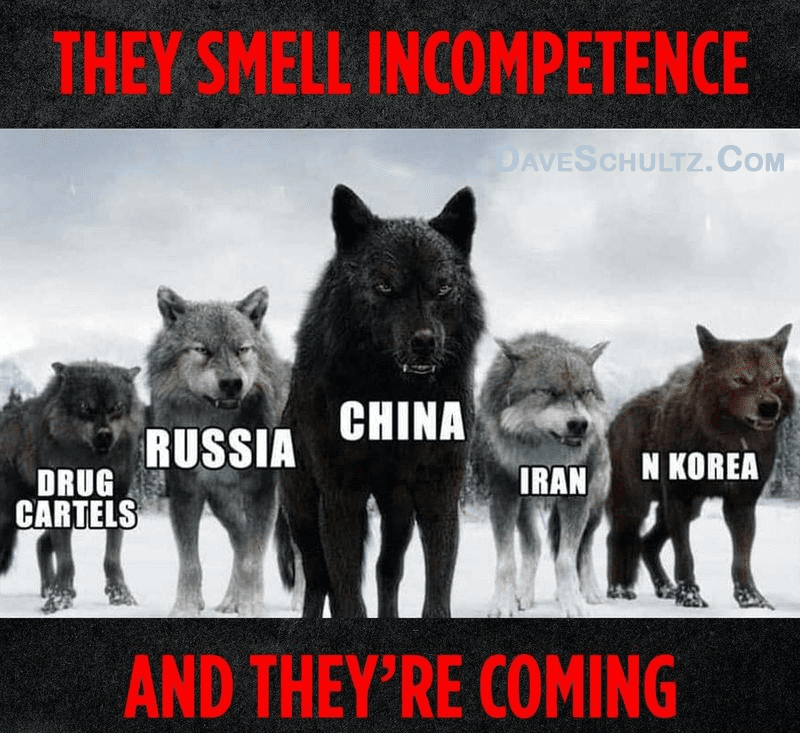 They Smell Incompetence