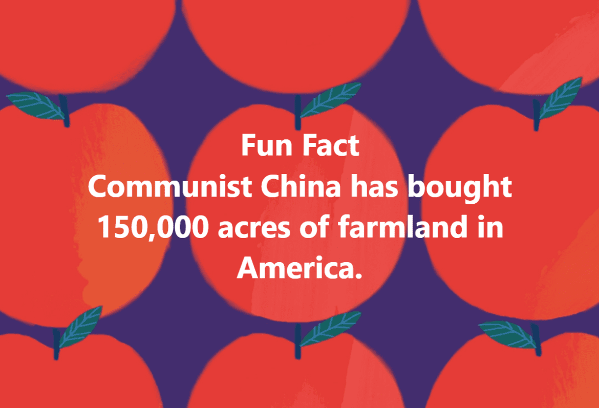 Fun Fact 241