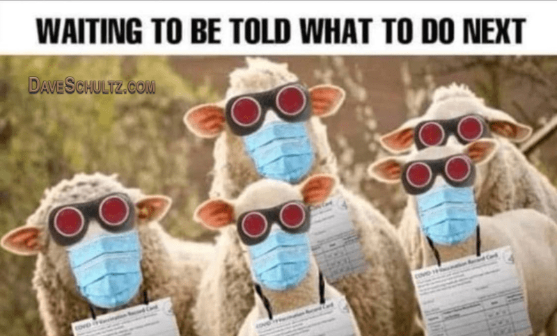 Liberals At a Fauci Press Conference