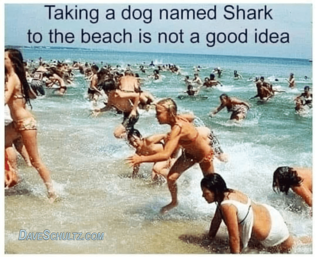 Name Your Dog “Shark”