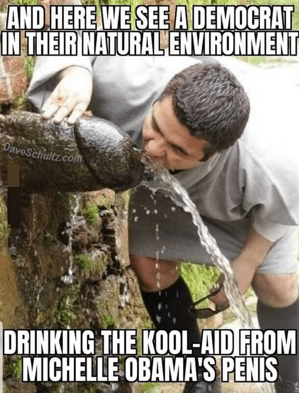 Democrat Water Fountain
