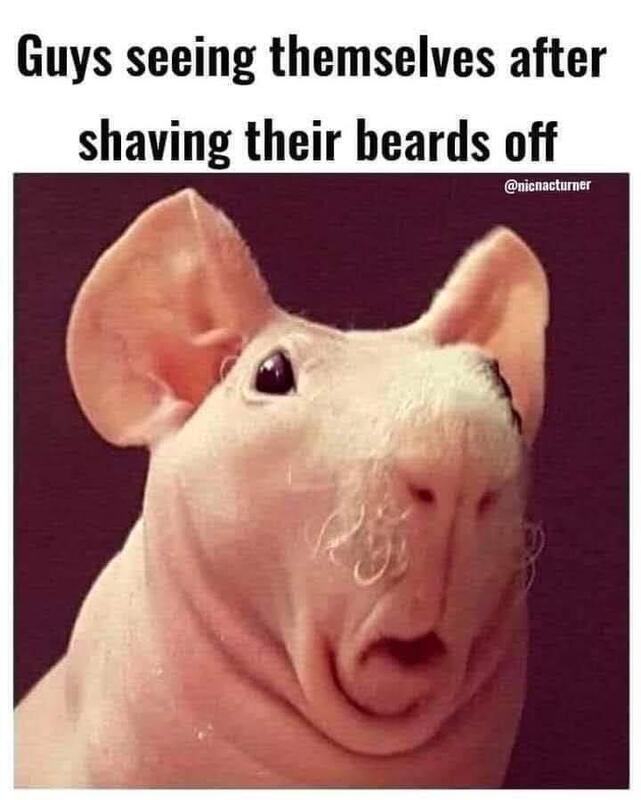 Looking in Mirror After Shaving Beard