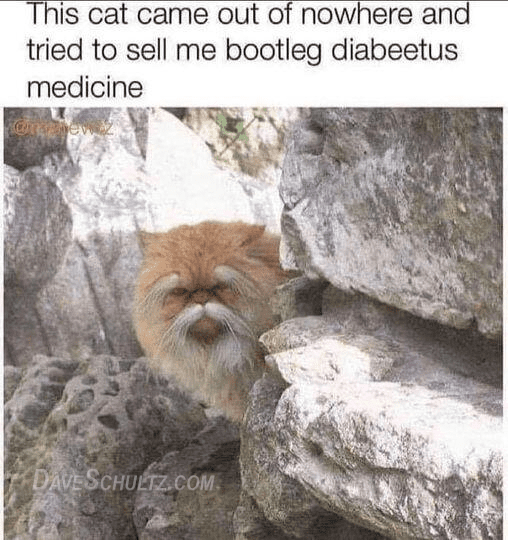 Bootleg Diabeetus Medicine