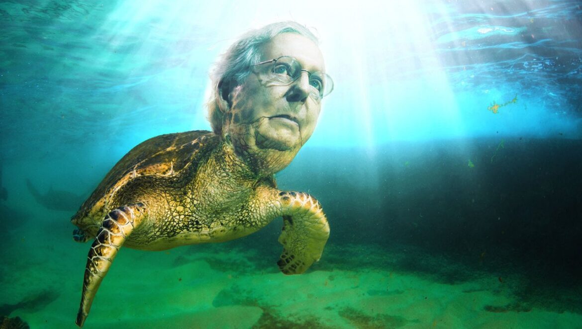 Mitch McConnell Falls – Again