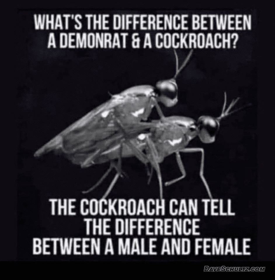 What’s the Difference Between A Democrat and a Cockroach?