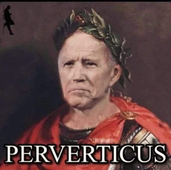 Perverticus